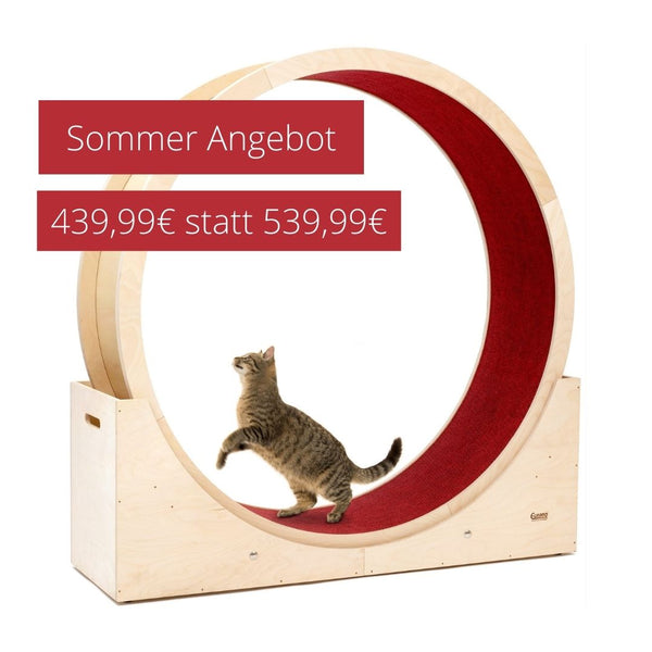 Angebot Elmato Katzenlaufrad Simba 120 cm