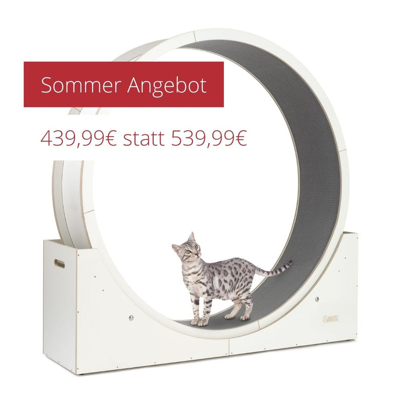 Angebot Elmato Katzenlaufrad Simba 120 cm